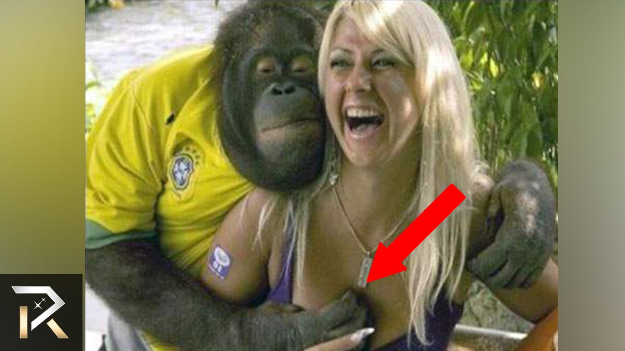 10 Most Inappropriate Animal Encounters! top 10 funniest pictures you won&a...